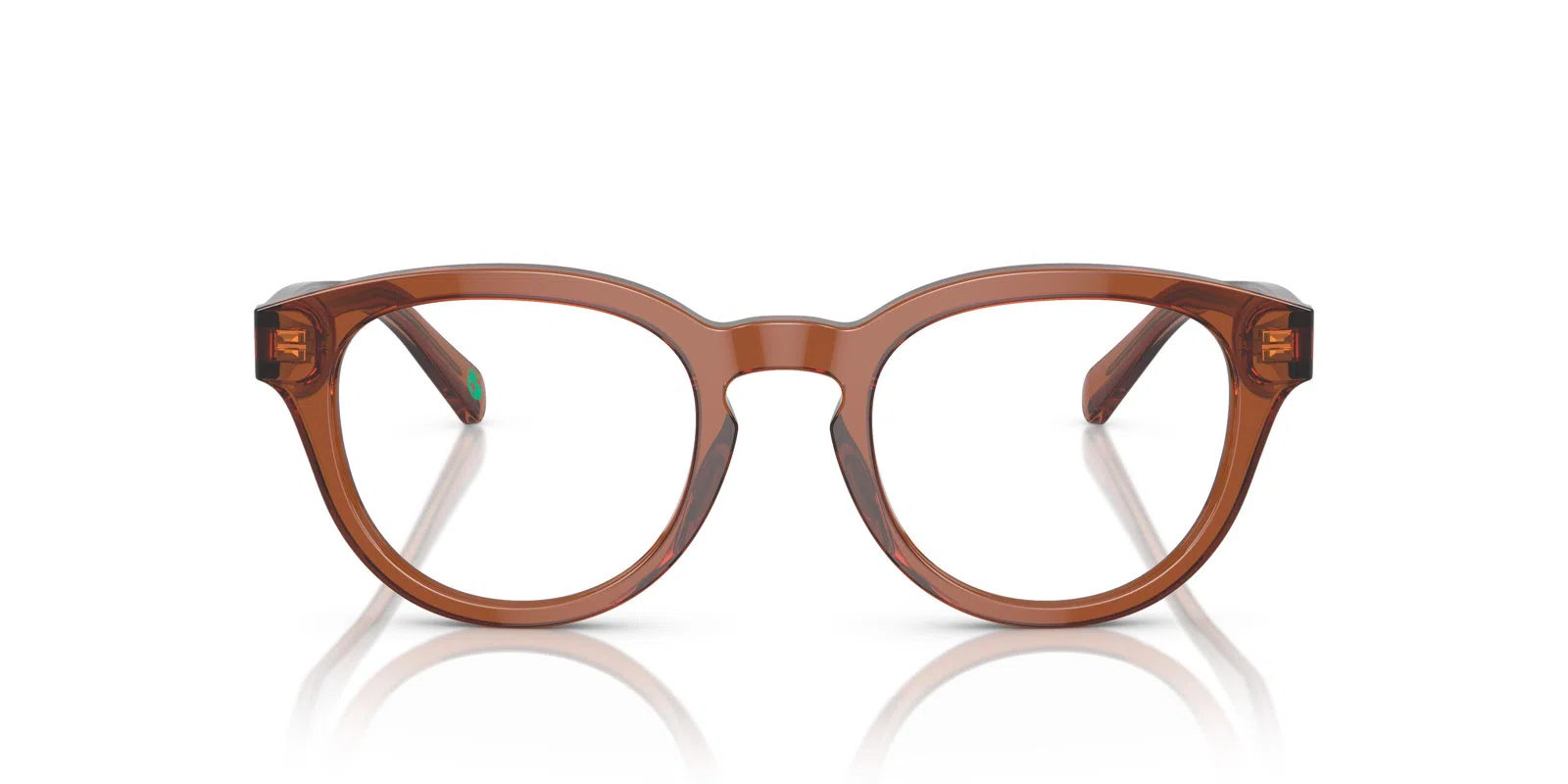 Polo 2262 Eyeglasses - view 24